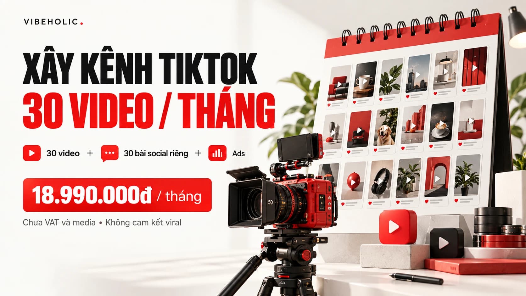 Gói Đặc biệt VibeHolic: xây TikTok với 30 video mỗi tháng